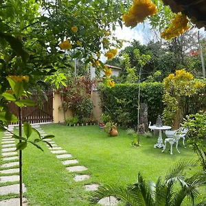 Casa Tortuga Casa de Férias