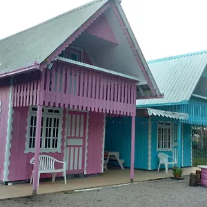 Do Gravatá , Penha (Santa Catarina) Brasil